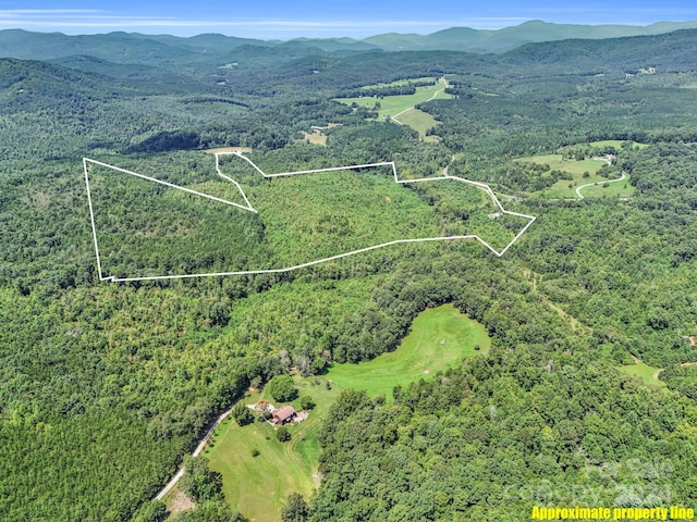 drone / aerial view featuring a mountain view and a view of trees