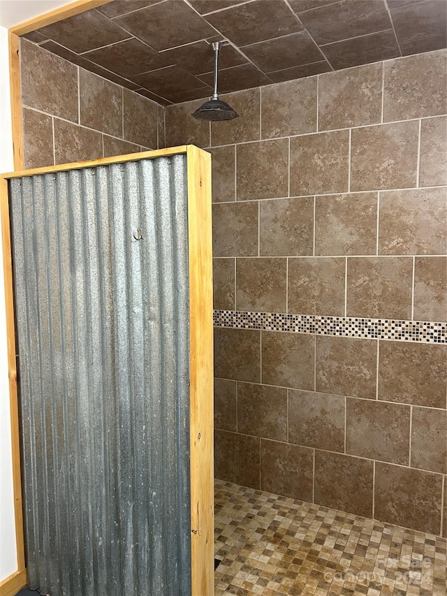 interior details featuring a walk in shower