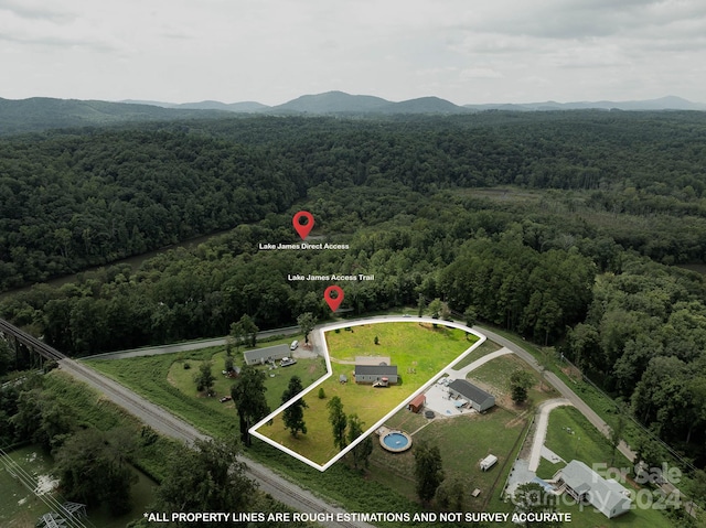 birds eye view of property featuring a mountain view