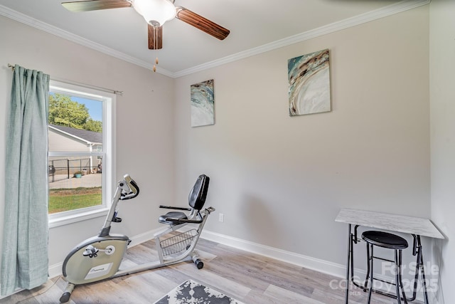 exercise room featuring light wood-type flooring, crown molding, baseboards, and ceiling fan