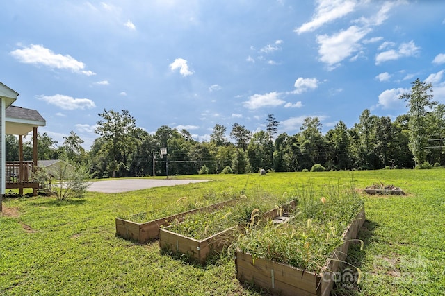 view of yard featuring a vegetable garden