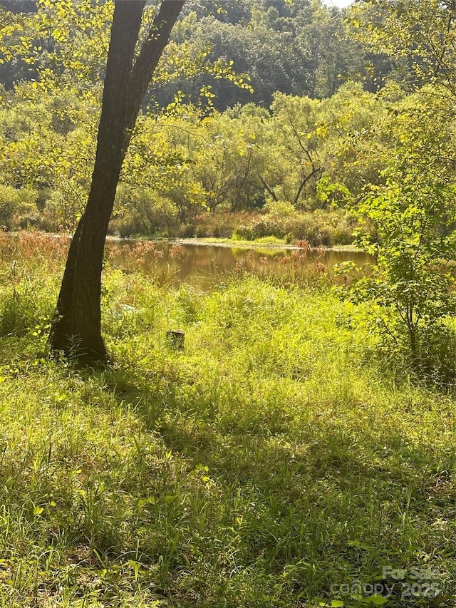 view of landscape featuring a forest view and a water view