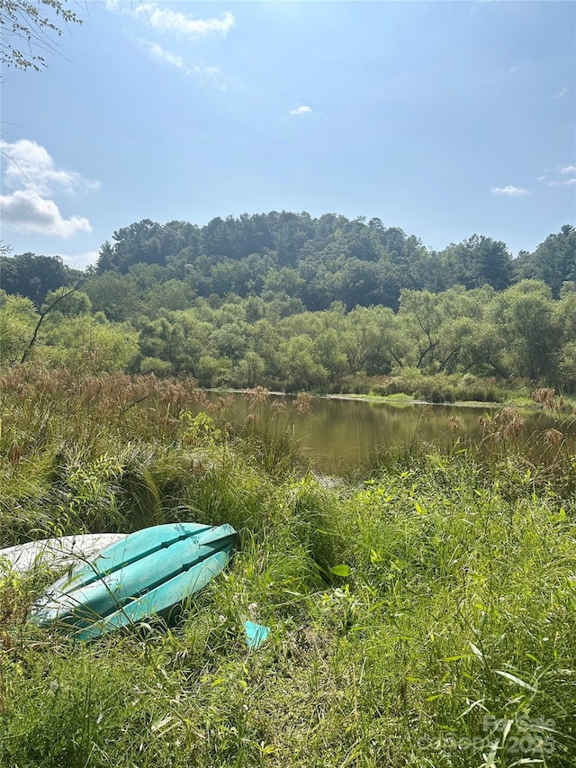 view of yard featuring a water view and a forest view