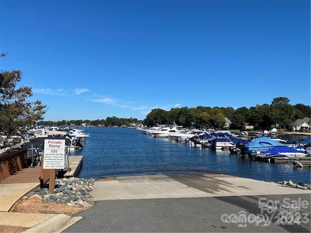 dock area with a water view