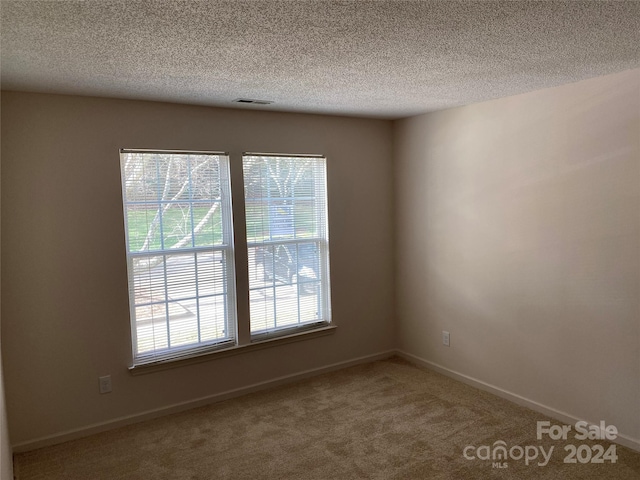 carpeted empty room featuring a healthy amount of sunlight and a textured ceiling