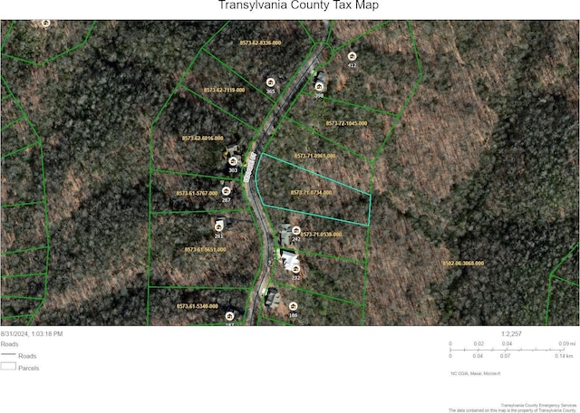 Listing photo 3 for LOT19 Udoque Ct, Brevard NC 28712