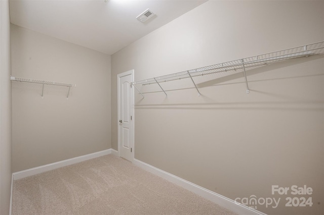 walk in closet with light carpet