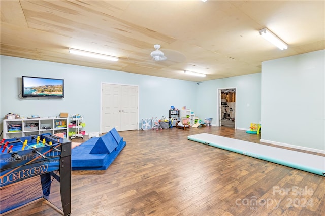 game room featuring wood-type flooring