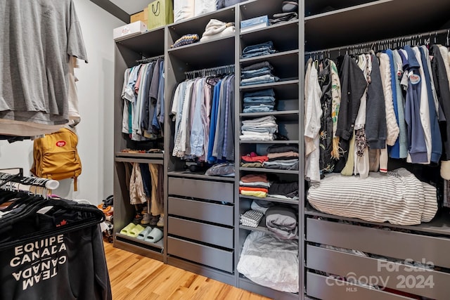 spacious closet featuring wood finished floors