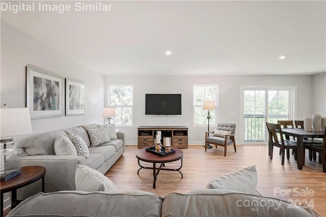 living room featuring light hardwood / wood-style flooring