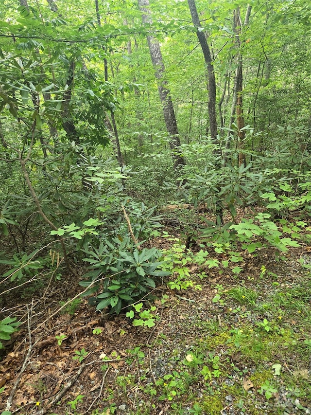 Listing photo 2 for LOT201 Little Creek Rd, Lake Lure NC 28746