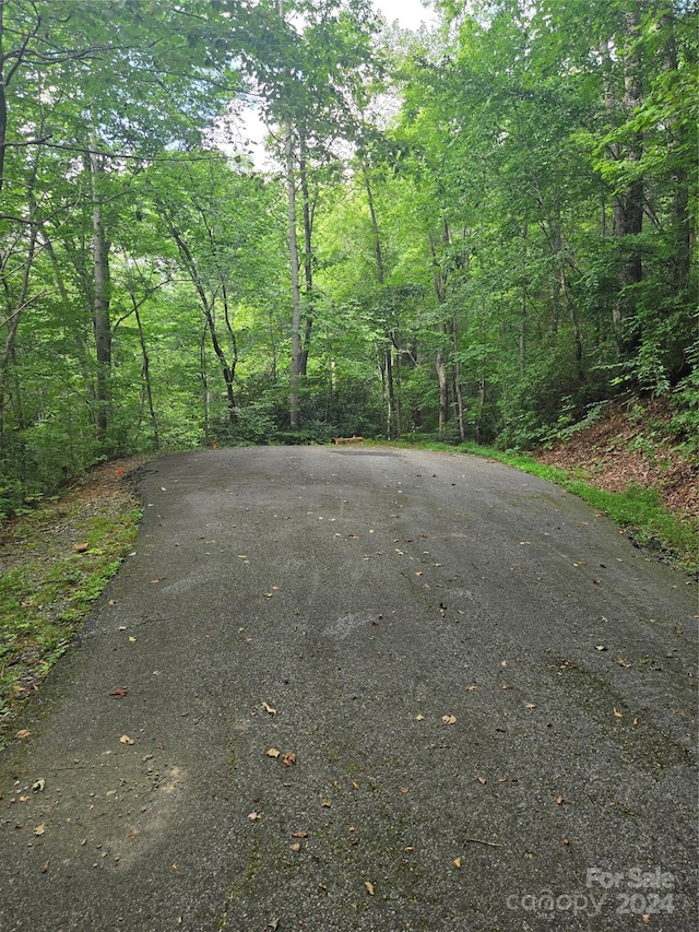 Listing photo 3 for LOT201 Little Creek Rd, Lake Lure NC 28746