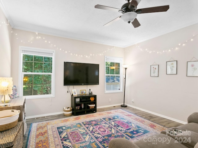 living room with ceiling fan, a wealth of natural light, wood-type flooring, and a textured ceiling