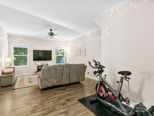 workout room with a wealth of natural light, ceiling fan, crown molding, and hardwood / wood-style floors