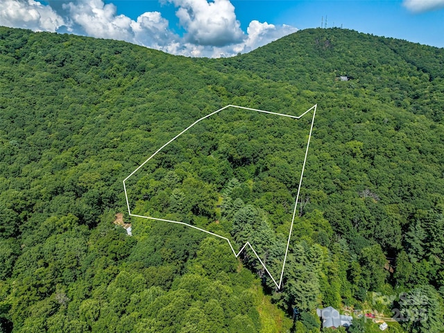 aerial view featuring a mountain view and a wooded view