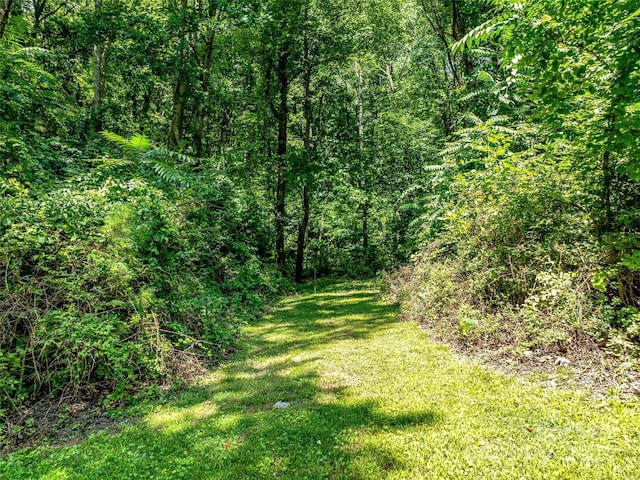 view of landscape with a view of trees