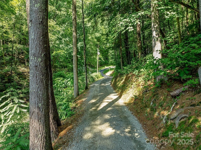 view of street featuring a forest view