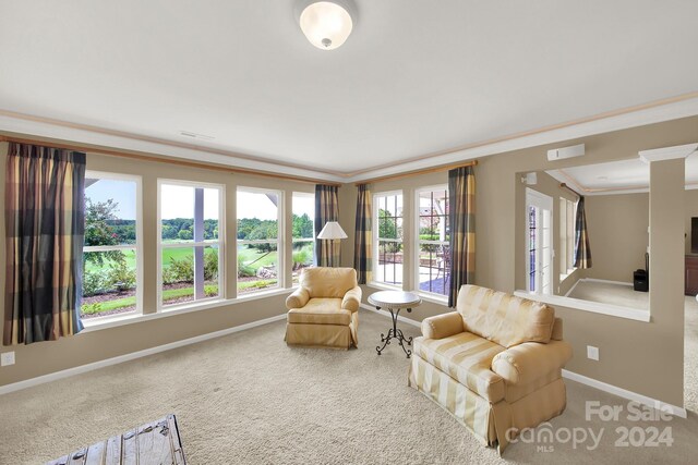 living area with carpet flooring and ornamental molding