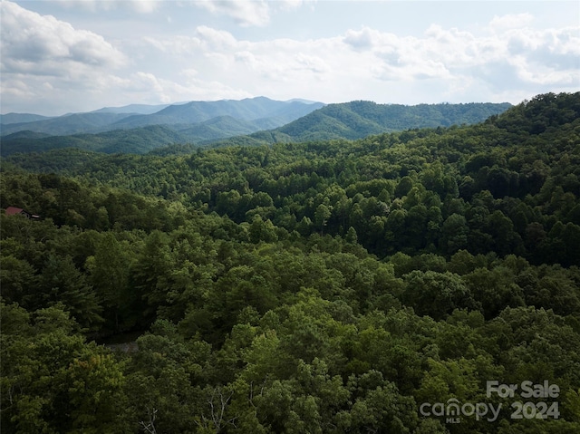 Listing photo 2 for 0 E H Bailey Rd, Bryson City NC 28713