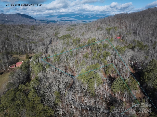 0 E H Bailey Rd, Bryson City NC, 28713 land for sale