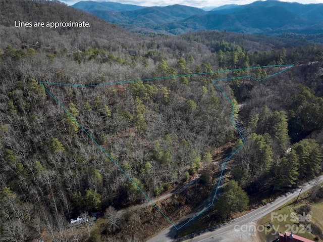 Listing photo 3 for 0 E H Bailey Rd, Bryson City NC 28713