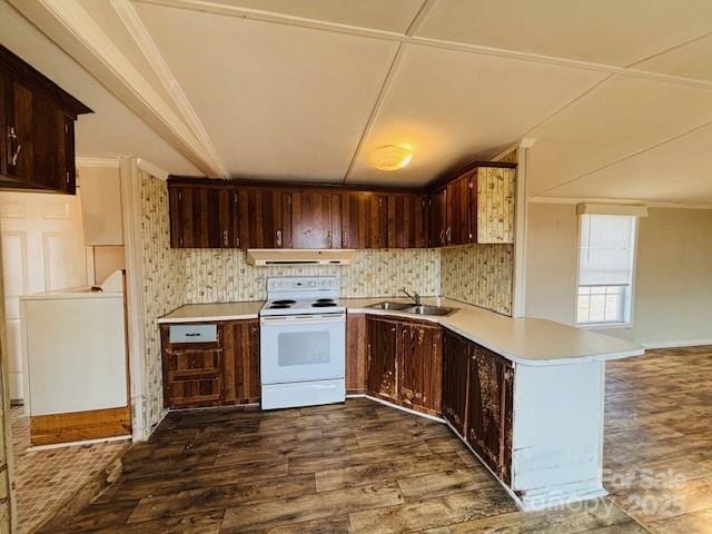 kitchen featuring sink, dark wood-type flooring, electric range, range hood, and kitchen peninsula