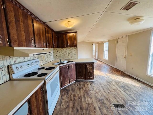 kitchen featuring wood-type flooring, sink, white electric range, and decorative backsplash