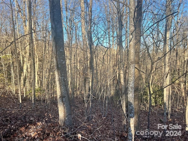 129 Pinnacle Peak Ln, Flat Rock NC, 28731 land for sale