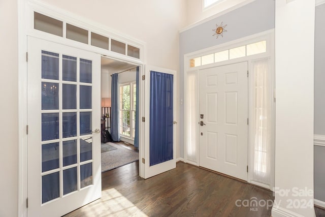 foyer featuring french doors and dark hardwood / wood-style floors