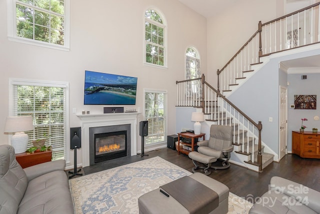 living room with a towering ceiling, plenty of natural light, dark hardwood / wood-style floors, and ornamental molding