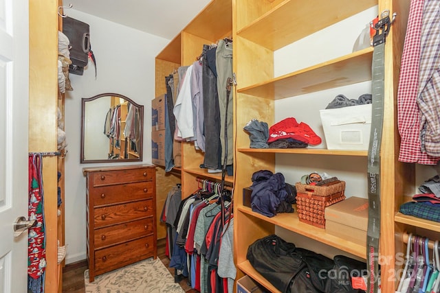 walk in closet featuring light hardwood / wood-style floors