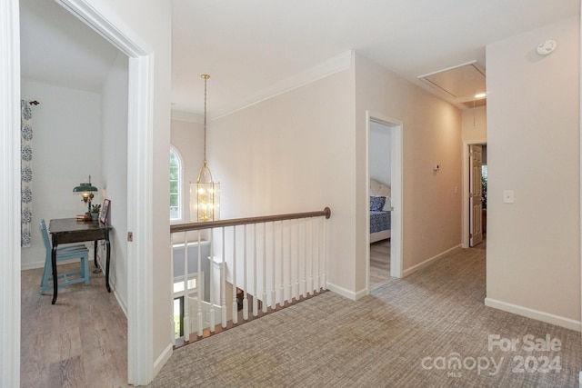 corridor featuring light hardwood / wood-style floors and ornamental molding