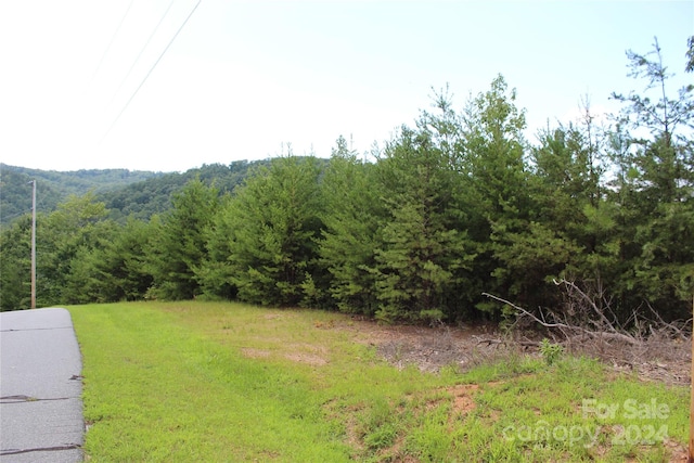 Listing photo 3 for 0 Brighton Dr, Bostic NC 28018