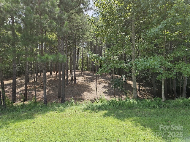 Listing photo 3 for 133 Oak Point Ln, Stony Point NC 28678