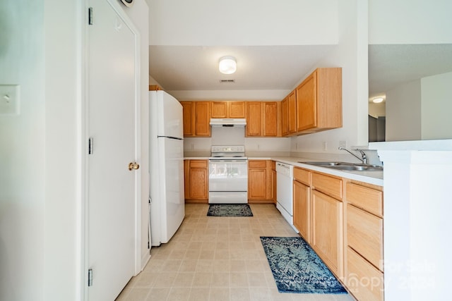 kitchen featuring white appliances, visible vents, light countertops, under cabinet range hood, and a sink