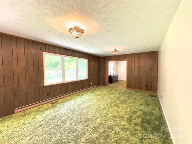 carpeted empty room featuring wood walls and a textured ceiling