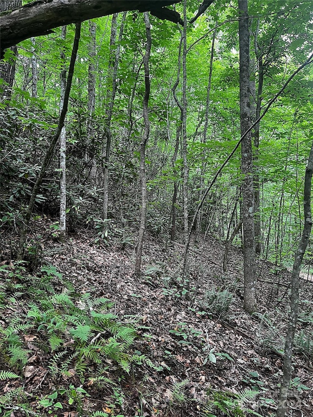 00 Jarrell Loop, Old Fort, NC 28762 - photo 1