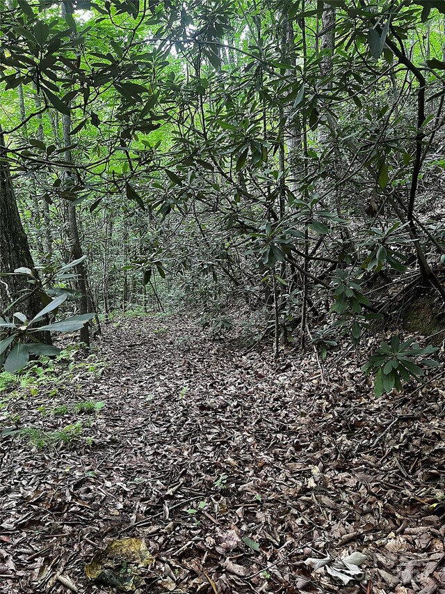 00 Jarrell Loop, Old Fort, NC 28762 - photo 2