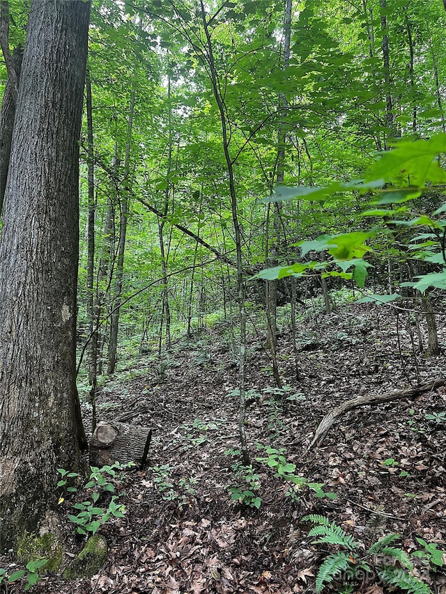 00 Jarrell Loop, Old Fort, NC 28762 - photo 3