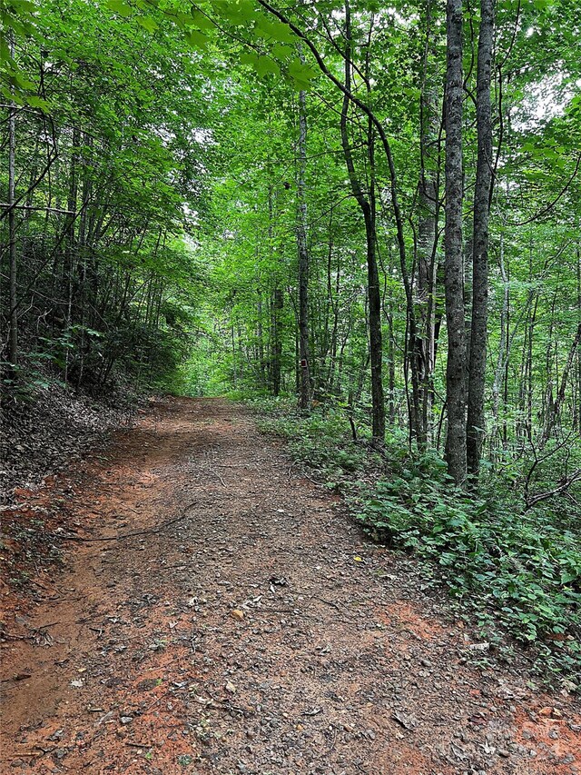 00 Jarrell Loop, Old Fort, NC 28762 - photo 4