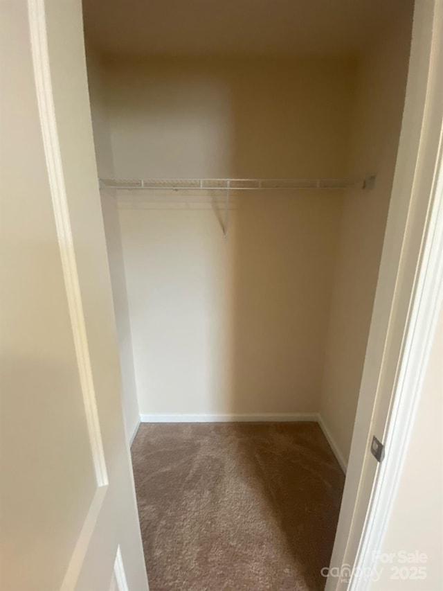 walk in closet featuring carpet flooring