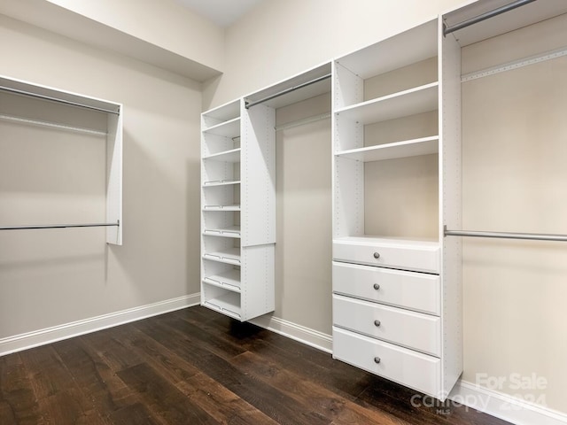 spacious closet featuring wood-type flooring