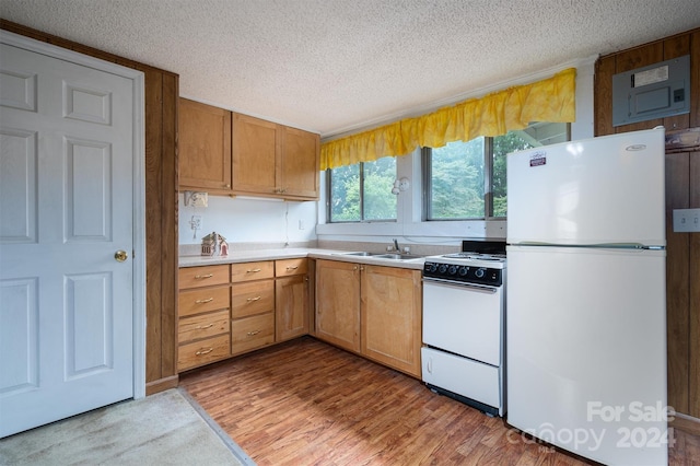 kitchen with light countertops, a sink, a textured ceiling, wood finished floors, and white appliances