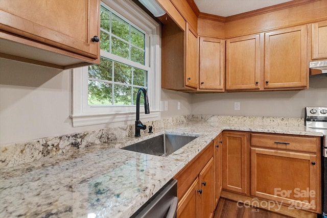 kitchen with hardwood / wood-style flooring, sink, white range oven, and a wealth of natural light