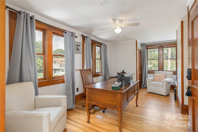 office featuring ornamental molding, light hardwood / wood-style flooring, and ceiling fan