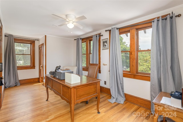 office space featuring ornamental molding, ceiling fan, and light hardwood / wood-style floors