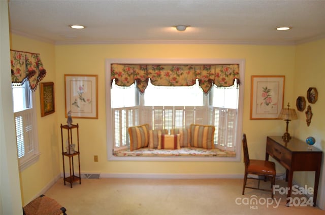 interior space with carpet floors, crown molding, and a healthy amount of sunlight