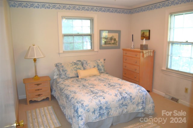 carpeted bedroom with crown molding and multiple windows