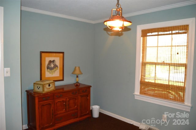 interior space with ornamental molding and multiple windows