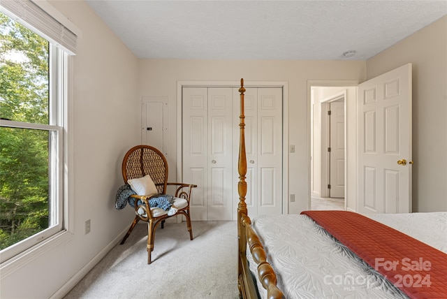 carpeted bedroom with a closet, a textured ceiling, and multiple windows